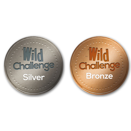 Wild Challenge Silver & Bronze Awards